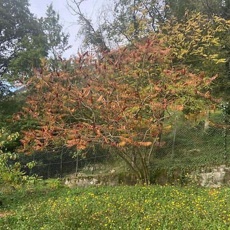 Il Mulino Di Valeria Hotel Canzo Buitenkant foto