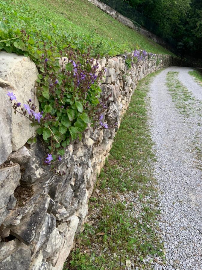 Il Mulino Di Valeria Hotel Canzo Buitenkant foto