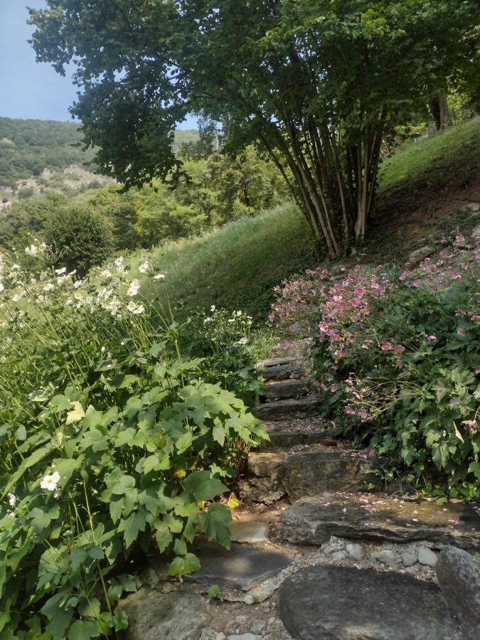 Il Mulino Di Valeria Hotel Canzo Buitenkant foto