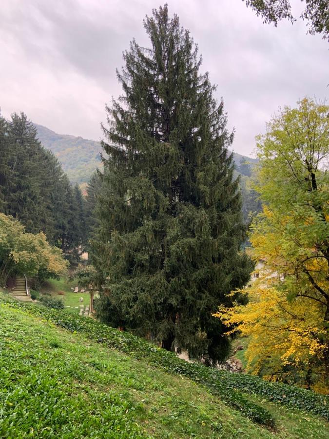 Il Mulino Di Valeria Hotel Canzo Buitenkant foto