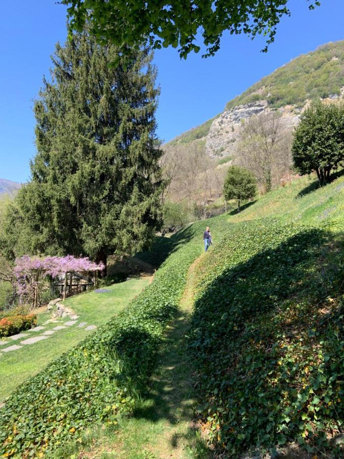 Il Mulino Di Valeria Hotel Canzo Buitenkant foto